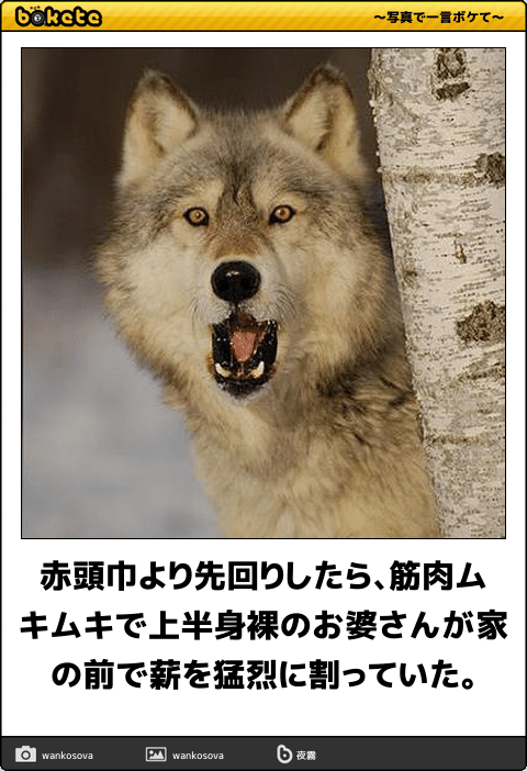 動物のboketeを貼るトピpart3