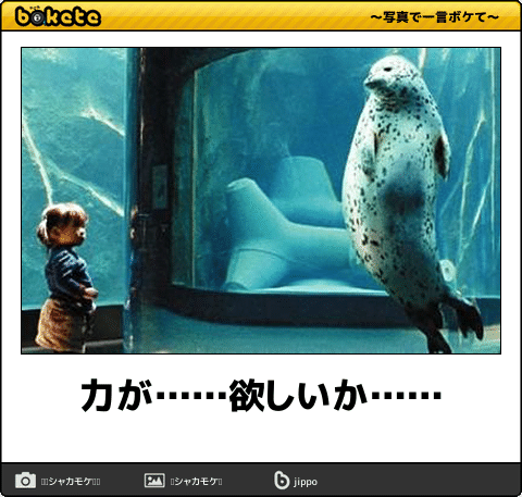 動物のboketeを貼るトピpart3