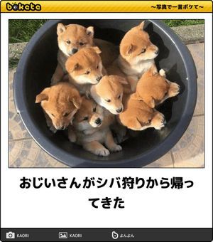 動物のboketeを貼るトピpart3