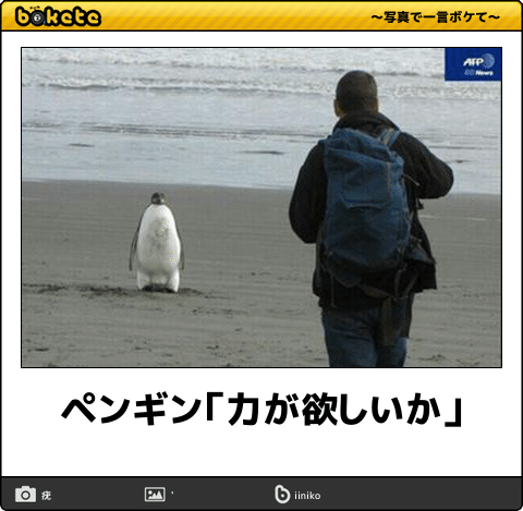 動物のboketeを貼るトピpart3