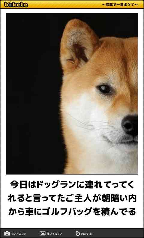動物のboketeを貼るトピpart3