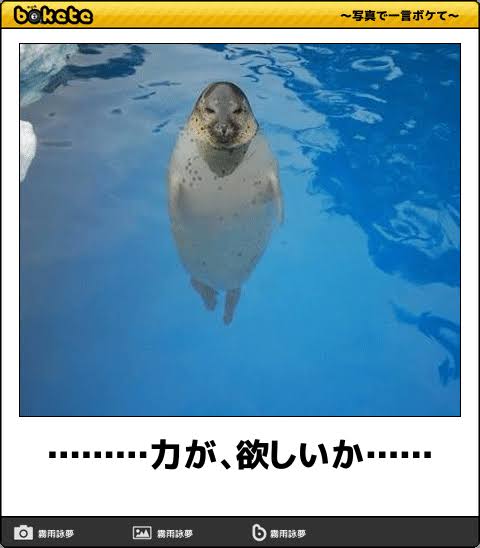 動物のboketeを貼るトピpart3