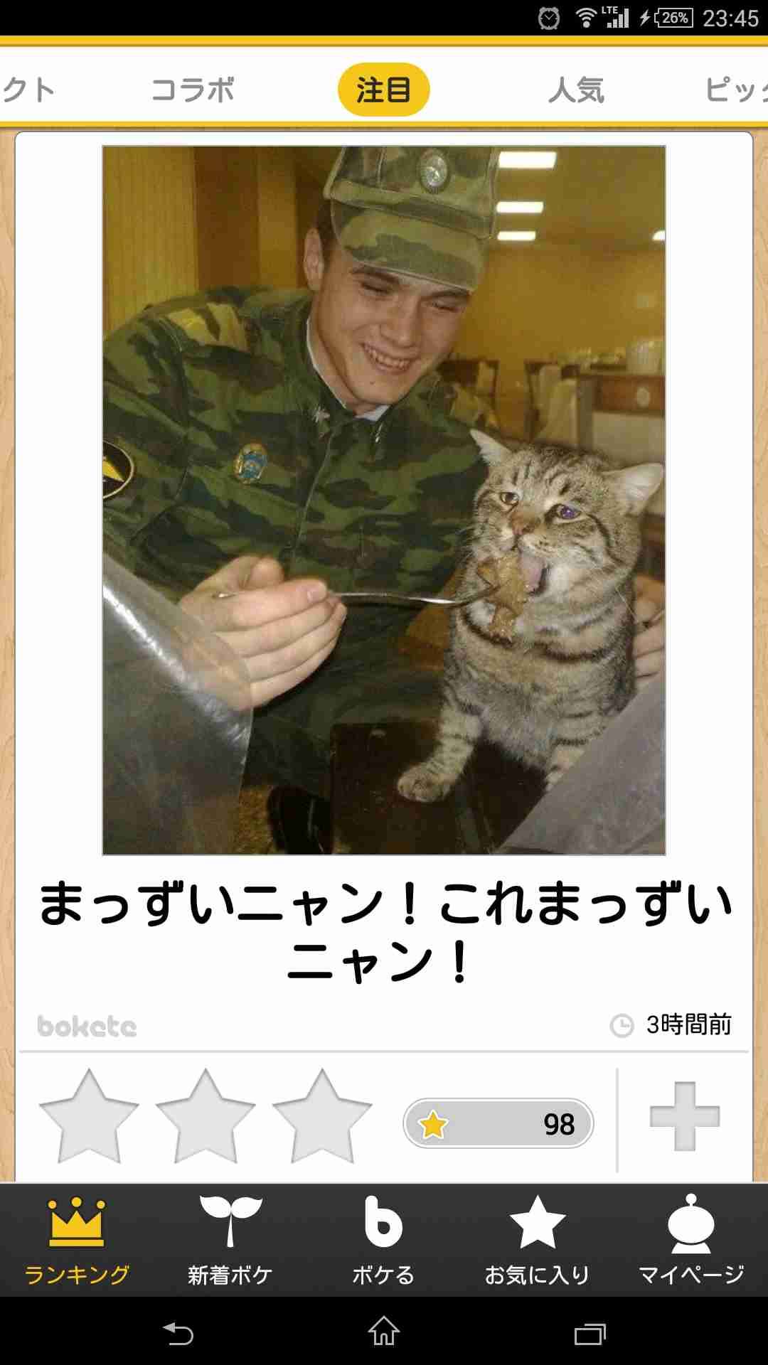 動物のboketeを貼るトピpart3