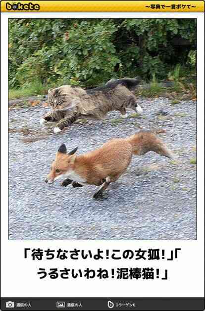 動物のboketeを貼るトピpart3