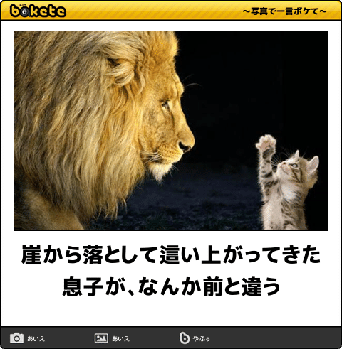動物のboketeを貼るトピpart3