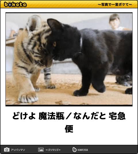 動物のboketeを貼るトピpart3