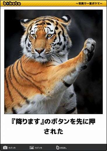 動物のboketeを貼るトピpart3