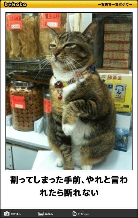 動物のboketeを貼るトピpart3