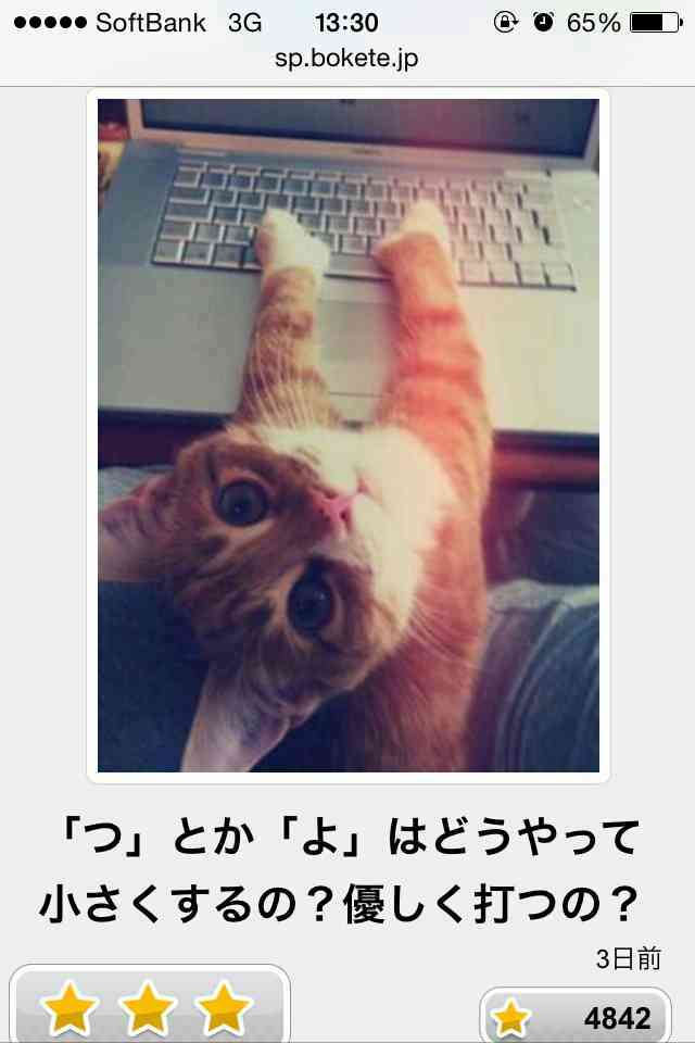 動物のboketeを貼るトピpart3