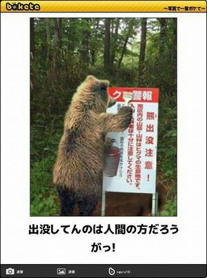 動物のboketeを貼るトピpart3
