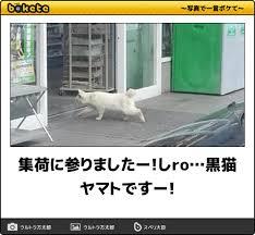 動物のboketeを貼るトピpart3