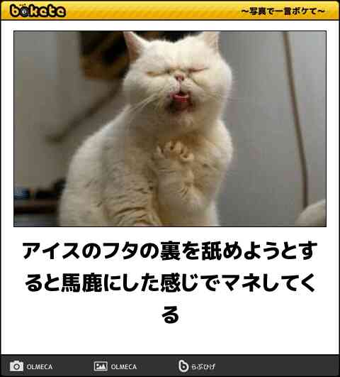 動物のboketeを貼るトピpart3