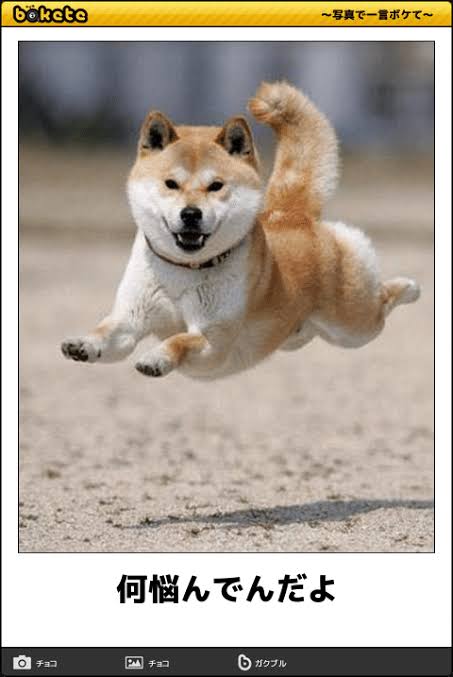 動物のboketeを貼るトピpart3