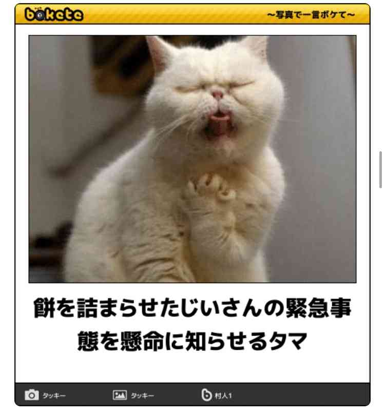 動物のboketeを貼るトピpart3