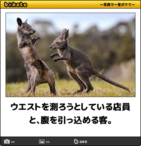 動物のboketeを貼るトピpart3