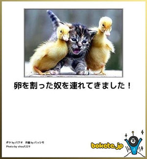 動物のboketeを貼るトピpart3