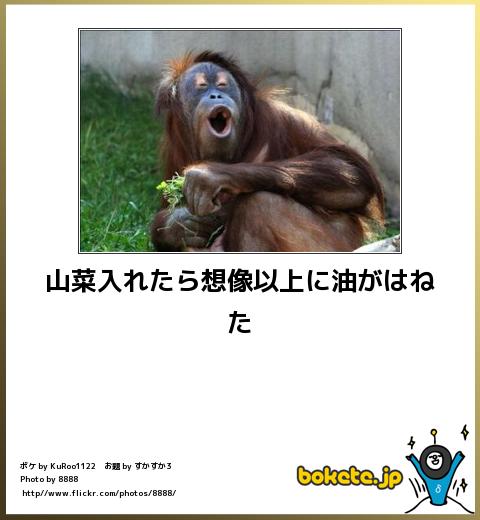 動物のboketeを貼るトピpart3