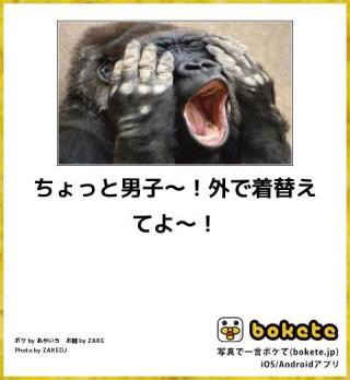 動物のboketeを貼るトピpart3