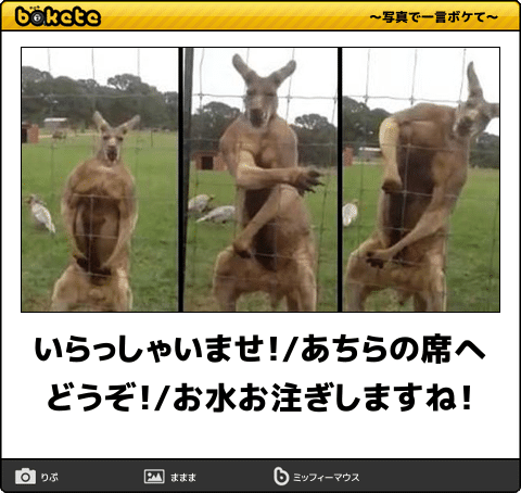 動物のboketeを貼るトピpart3