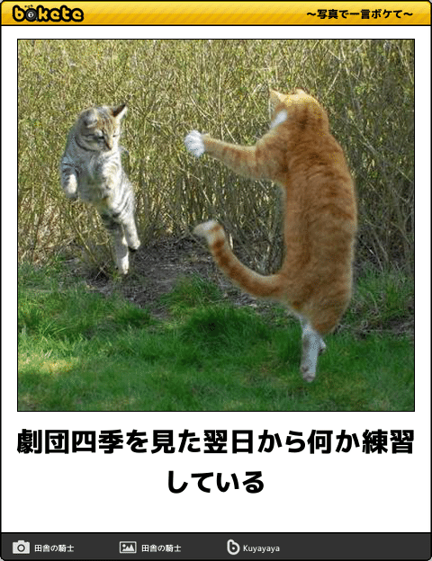 動物のboketeを貼るトピpart3