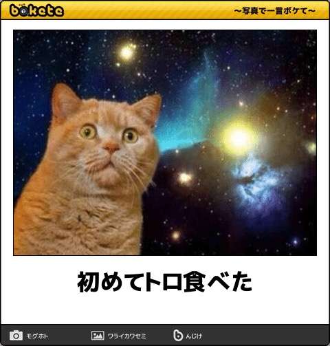 動物のboketeを貼るトピpart3