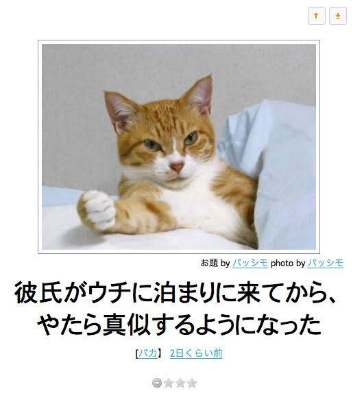 動物のboketeを貼るトピpart3