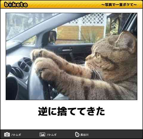 動物のboketeを貼るトピpart3