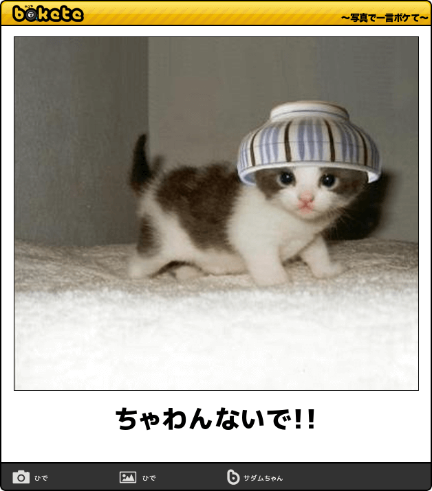 動物のboketeを貼るトピpart3