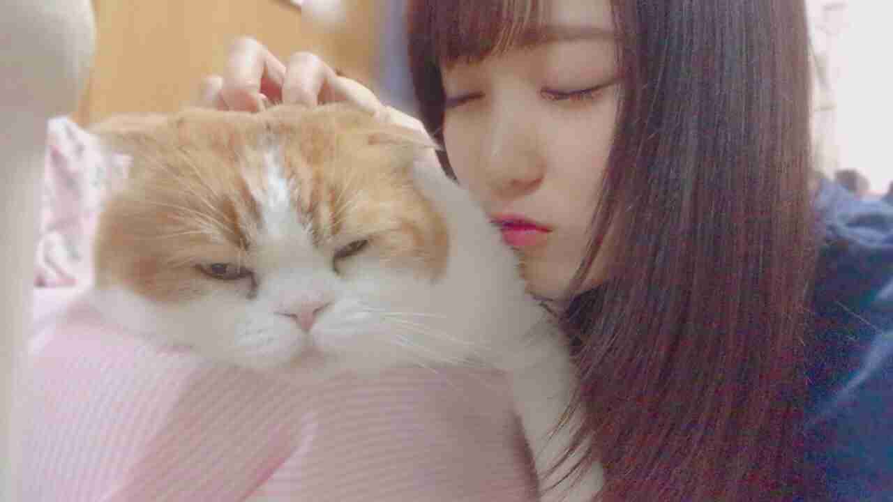 欅坂46の色んな画像を貼るトピ