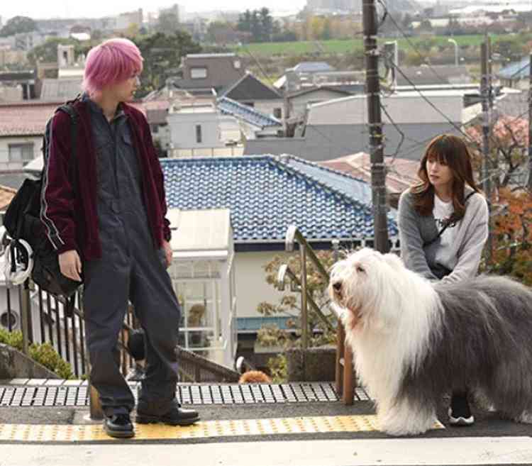 【実況・感想】火曜ドラマ「初めて恋をした日に読む話」第7話