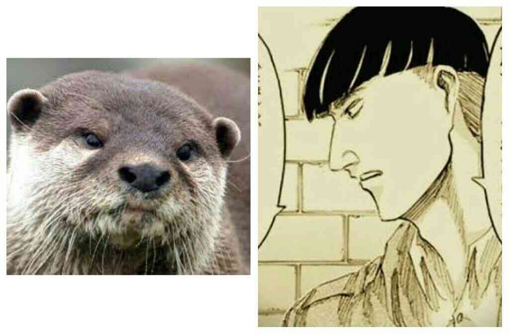 そっくりさんでお笑い芸人を作ろう!