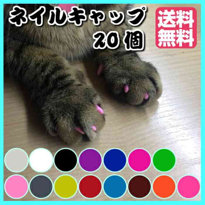 猫を飼って初めて分かったこと