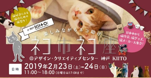 猫を飼って初めて分かったこと