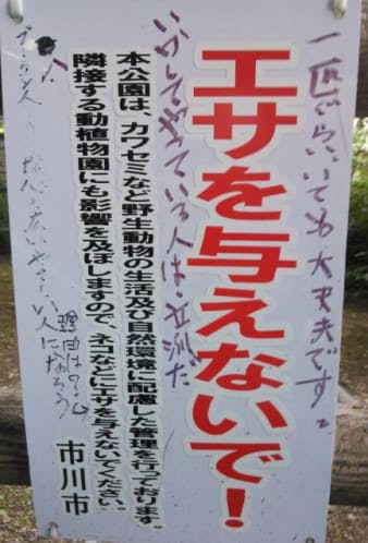 ペットの喜ぶ事、嫌がる事
