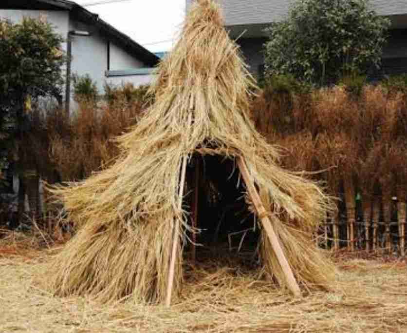 見え見えの嘘コメントを付けて画像を貼るトピ