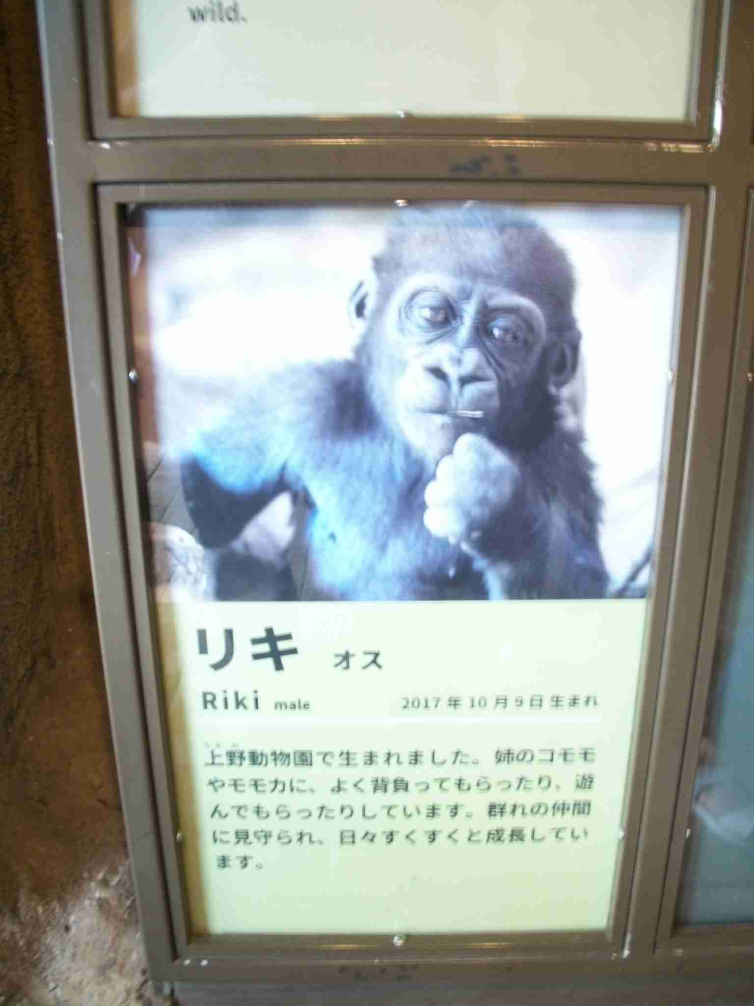 人間以外のイケメンを貼るトピ