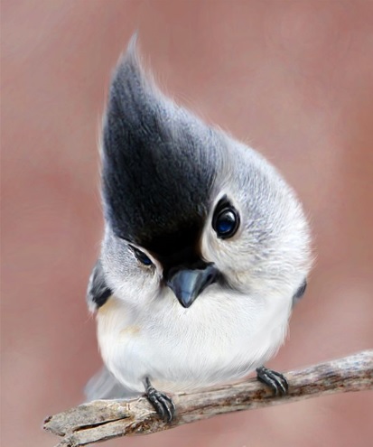 人間以外のイケメンを貼るトピ