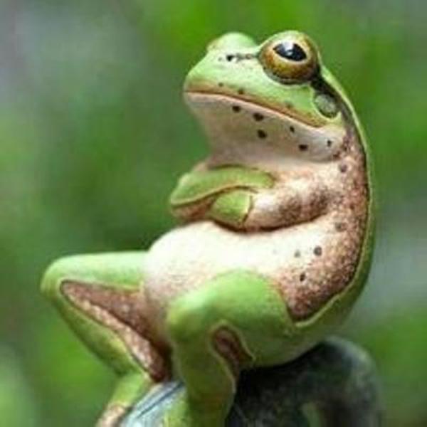 人間以外のイケメンを貼るトピ