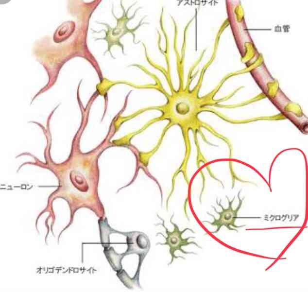 人間以外のイケメンを貼るトピ