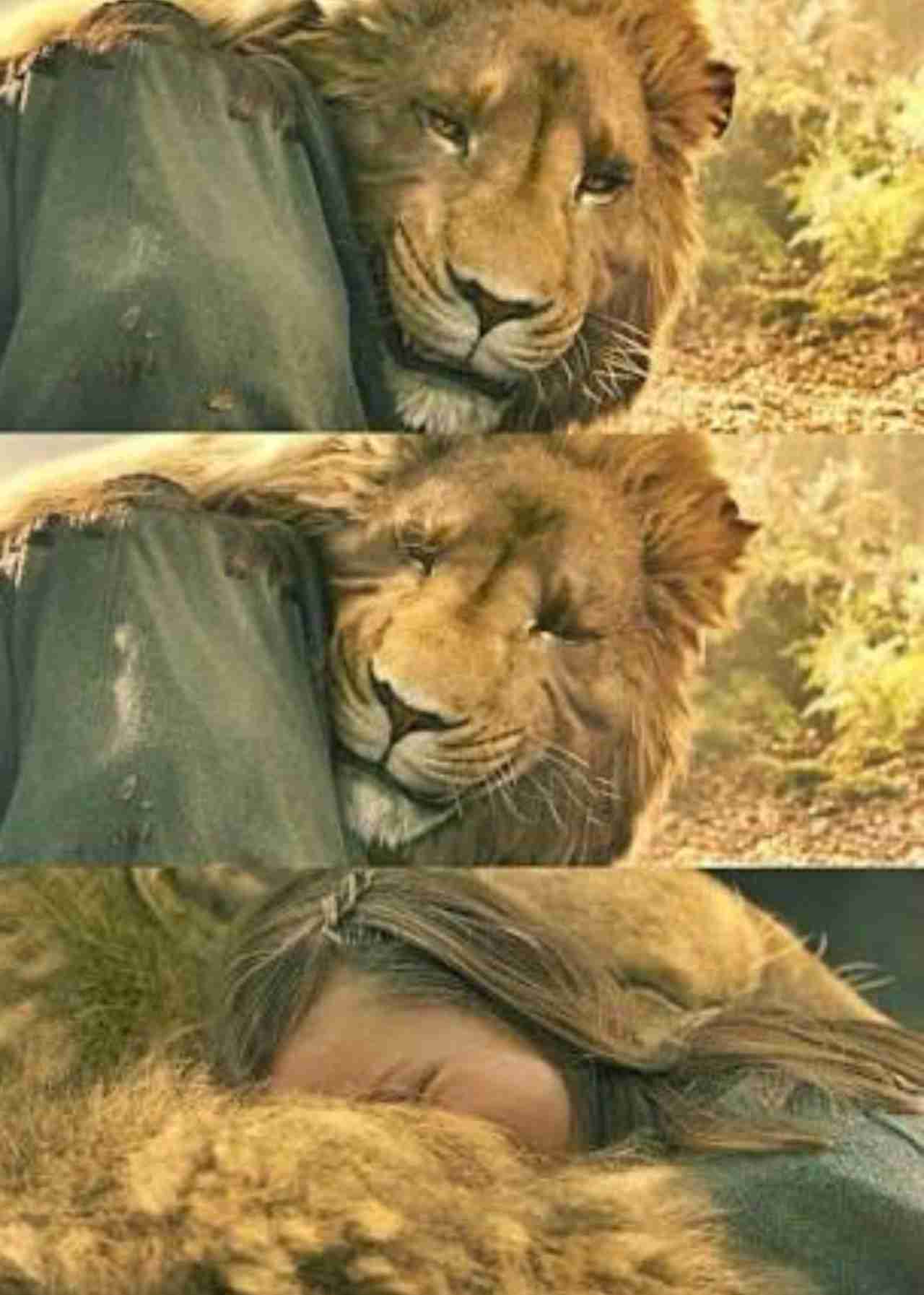 人間以外のイケメンを貼るトピ