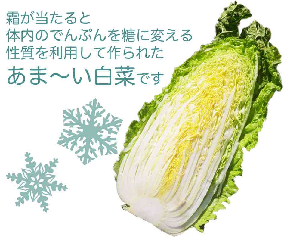 茨城県を語ろう！