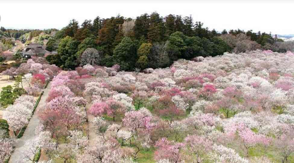茨城県を語ろう！