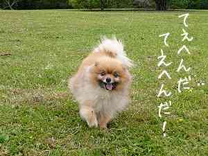 底辺、貧乏な役が合わない女優俳優