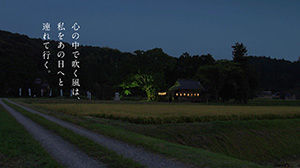 綺麗な文章を教えて下さい