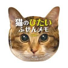 おでこ狭いあるある