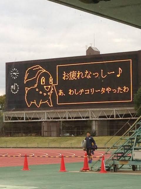 ポケモンが好き