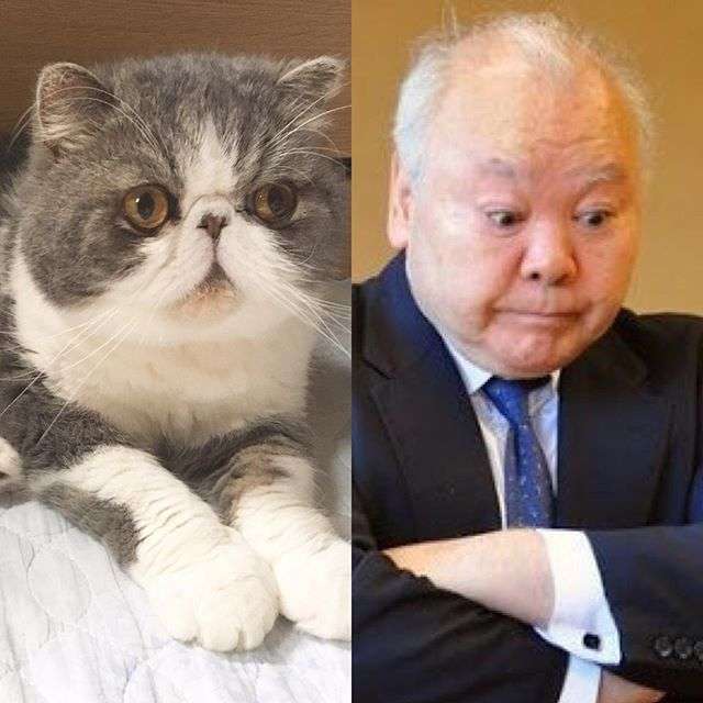 【ブス限定】自分のブス伝説ってありますか？