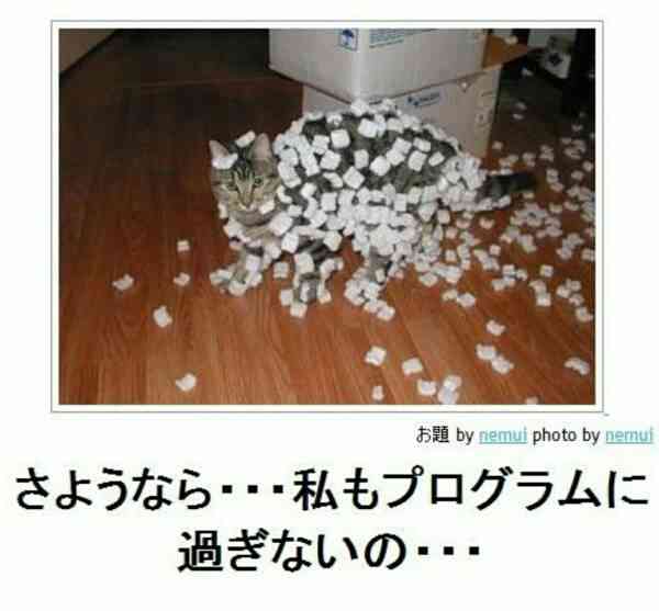 【笑いのツボが浅い人歓迎】ちょっとでもフフッ‥ってなったらプラスを押すトピ【画像・gif】
