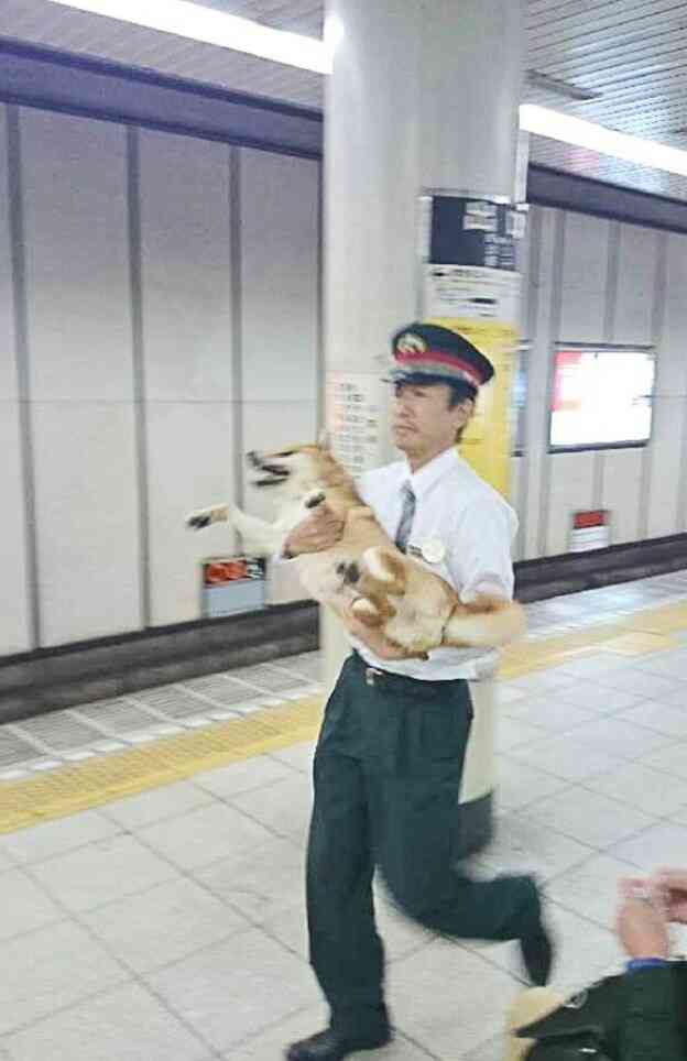 【笑いのツボが浅い人歓迎】ちょっとでもフフッ‥ってなったらプラスを押すトピ【画像・gif】