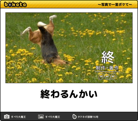 【笑いのツボが浅い人歓迎】ちょっとでもフフッ‥ってなったらプラスを押すトピ【画像・gif】
